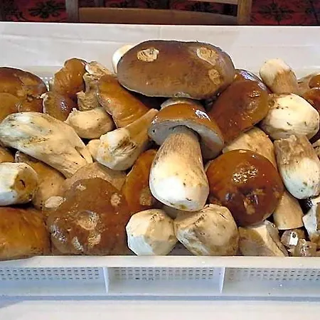 Musolesi 3*